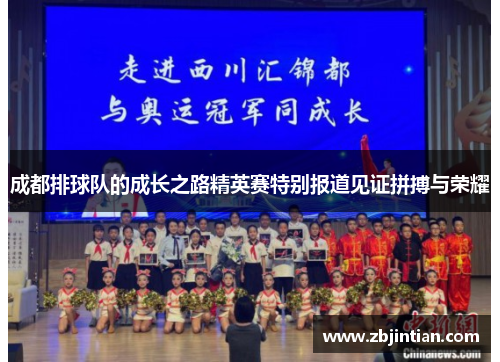 成都排球队的成长之路精英赛特别报道见证拼搏与荣耀