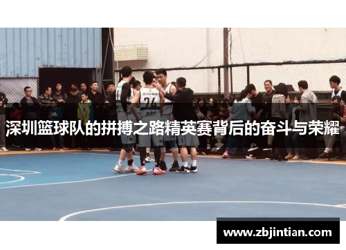 深圳篮球队的拼搏之路精英赛背后的奋斗与荣耀